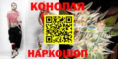 сатива Лесосибирск